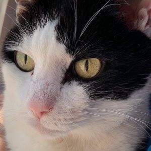 Meet your Posher, Jillian